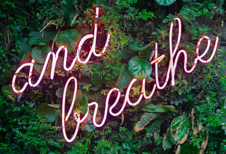 A green artificial plant background with a pink xenon light superimposed at a jaunty angle which reads 'and breathe' reflecting the freedom in the outcome of these therapies